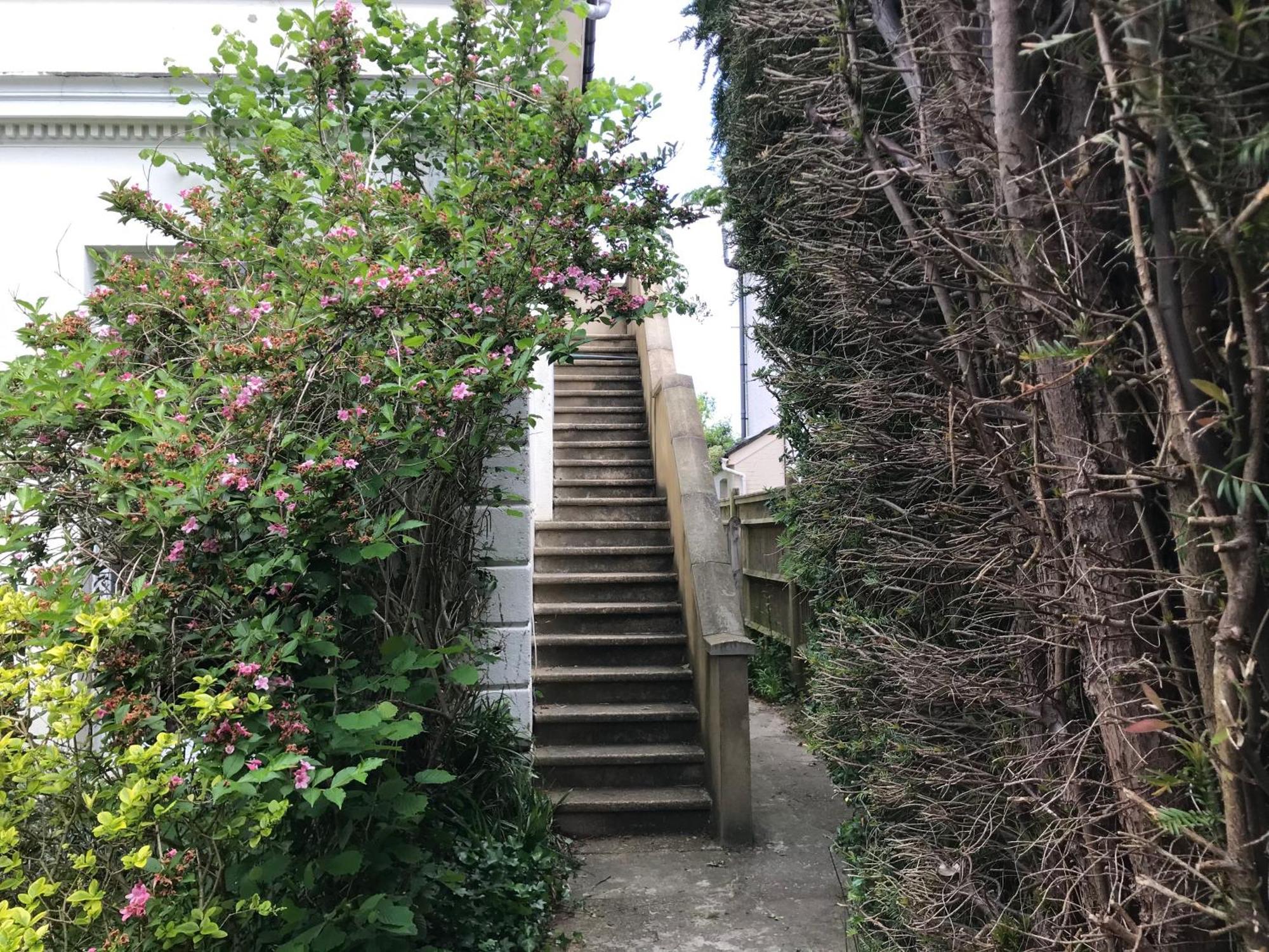 Tree Tops Apartment In Tunbridge Wells Exterior photo